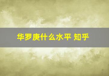 华罗庚什么水平 知乎